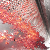 Commerciële fruitpitwasmachine voor het reinigen van perzik- en abrikozenpitjes