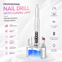 Lampe UV professionnelle pour manucure, perceuse à ongles électrique, lime à ongles, équipement de salon portable, service OEM ODM personnalisé