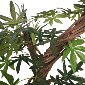 Cây lá phong Nhật Bản mini nhân tạo 40cm 5401, cây cần sa giả - Product Image 4