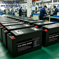 Grosir Baterai LiFePO4 Ultra Tipis 12.8V 200Ah OEM Kustom untuk Mobil 4WD Off-Road, Karavan, Tenaga Surya, Tahan Air IP65/67, 6000 Siklus, Pabrik