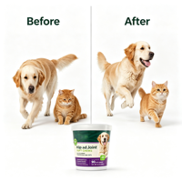Friandises pour animaux Ecokind Now Foods Santé des articulations des chiens et des chats Glucosamine Chondroïtine MSM Haute teneur en protéines Oméga-3 Poisson Dinde Vitamines