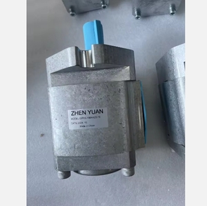 Bomba de Aceite Hidráulica EIPH6 EIPC3 EIPC5 EIPS2 EIPS3 EIPC3-064RA23-10 EIPC3-020 EIPC3-025 EIPC3-032 EIPC3-040 EIPC3-050 EIPC3-064 EC - Product Image 3