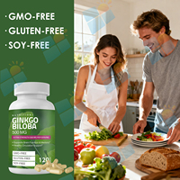 SUNI Großhandels preis Reine natürliche Pflanzen extrakte Ginkgo Biloba Extrakt Ergänzung 500mg Ginko Biloba Kapseln für Erwachsene