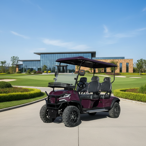 Voiturette de <span class=keywords><strong>golf</strong></span> électrique <span class=keywords><strong>6</strong></span> places certifiée CE, nouveau design, caractéristiques premium, performances exceptionnelles, quatre roues, pour visites touristiques et balades panoramiques - Product Image 3
