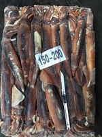 Revendeur de fruits de mer glacée,, prix en gros chinois, avec r de calmar, importé