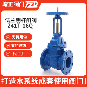 วาล์วเกทแบบก้านยกพร้อมหน้าแปลน Z41T-16Q DN50 ซีลแข็งแกนทองแดง สำหรับใช้ในอุตสาหกรรมน้ำ - Product Image 3