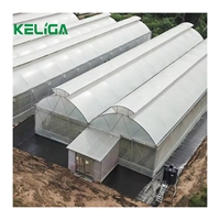 Serre de tunnel de film d'équipement agricole en plastique commercial de prix d'usine agricole de 200 microns