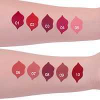 Ensemble de 10 rouges à lèvres mats, longue tenue, hautement pigmentés, couleur velours, application douce, vente en gros