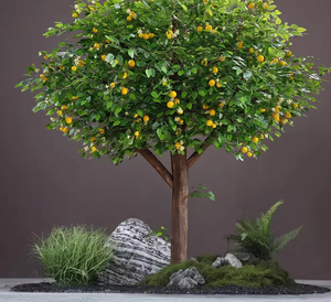 ต้นส้มโอเทียม ต้นมะนาวเทียม ต้นไม้ผลไม้ประดับตกแต่งภายในสำหรับโรงแรมและห้างสรรพสินค้า - Product Image 4