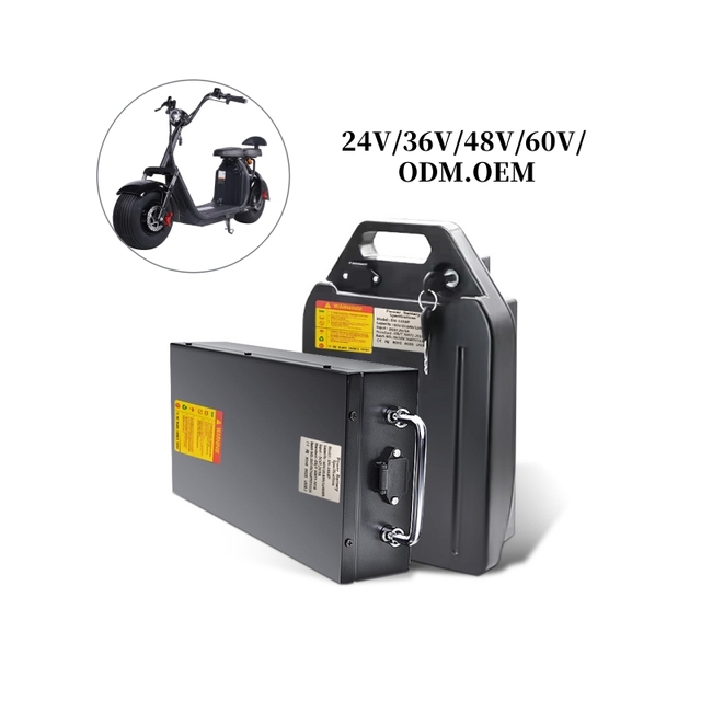 Electric Scooter Bicycle Lithium Ion Battery Pack 48V-60V 10Ah-20Ah Solid State LiFePO4 6000 Cycles Power E-Bike