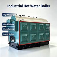 Chauffe-eau industriel automatique à granulés de biomasse haute performance, poêle à air chaud pour usage industriel horizontal