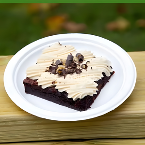 Assiettes jetables en bagasse de canne à sucre écologiques, imperméables et résistantes à l'huile, pour l'emballage alimentaire des fêtes de rentrée scolaire (vente en gros) - Product Image 1