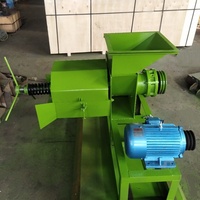 Professionele Afrikaanse fabrieksmachine voor het persen van rode palmolie, palmvruchtenoliepers, oliewinmachine