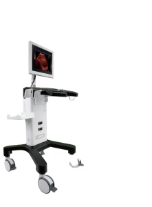 Appareil d'échographie noir et blanc de type chariot Dawei DW-350 avec écran LED de 15 pouces pour usage hospitalier humain - Product Image 4