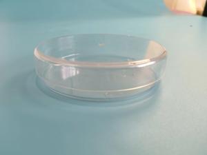 Boîtes de Pétri en plastique jetables de laboratoire 60/70/90 mm, boîte de Pétri en plastique de 90 mm pour culture cellulaire - Product Image 5