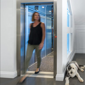 <span class=keywords><strong>Ascensor</strong></span> Eléctrico para el Hogar, 2 Personas, Interior/Exterior, Mini <span class=keywords><strong>Ascensor</strong></span> <span class=keywords><strong>de</strong></span> 2/3 Pisos, 1 Persona <span class=keywords><strong>Dentro</strong></span> <span class=keywords><strong>de</strong></span> la <span class=keywords><strong>Casa</strong></span>, Accionamiento Hidráulico - Product Image 1