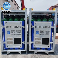 DNV 2.7-1 Porte-bouteilles de bouteilles de gaz offshore galvanisé standard Conteneur 4*4 avec cadre de levage Faisceau de porte-bouteilles d'azote
