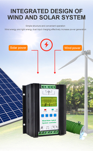 Système d'alimentation <span class=keywords><strong>hybride</strong></span> solaire-éolien 600-1000W, régulateur solaire pour batterie au plomb-acide au lithium 12V 24V - Product Image 6