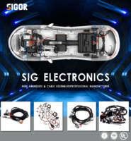 Arnés de Cableado Automotriz Personalizado OEM/ODM, Conjunto de Cables para Motor, Transmisión, Iluminación y Sistema de Frenos
