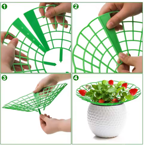 Support de sol moderne pour plantes de fraises, cadre de protection anti-ternissement et anti-éboulement, outil de culture pour jardinage - Product Image 4