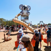 Équipement de terrain de jeu extérieur commercial Koala, structure de terrain de jeu complexe pour enfants, résistante, solution personnalisable