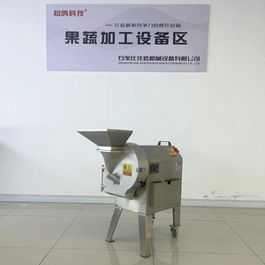 304 thép không gỉ Rau <span class=keywords><strong>Chopper</strong></span> Slicer với động cơ động cơ ODM/OEM dịch vụ cho các nhà máy chế biến thịt cho chế biến trái cây - Product Image 6