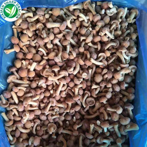 יצוא קפוא nameko פטריות עבור קונים - Product Image 5