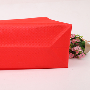 Muestra libre barato FoldableCustom impreso reciclable <span class=keywords><strong>tela</strong></span> no tejida bolsa <span class=keywords><strong>de</strong></span> compras con logotipo - Product Image 6