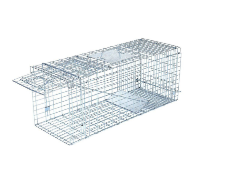 สีเทาอ่อน