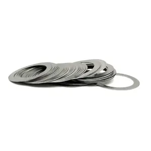 Customized Steel/Stainless Steel Flat Ring Sealing Gasket Metal Flange Gasket