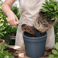 Spatule de jardin en acier inoxydable avec manche en bois, désherbeur manuel, cultivateur de sol pour jardinage extérieur, pelle, fourche, désherbeur