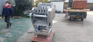 เครื่องปลอกกระสุนเม็ดมะม่วงหิมพานต์อัตโนมัติ - Product Image 5