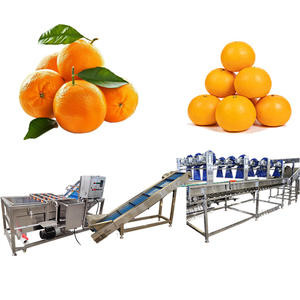 Machine à laver les fruits pour <span class=keywords><strong>restaurant</strong></span>, citron et gingembre, nettoyage aux fruits, cassis - Product Image 1