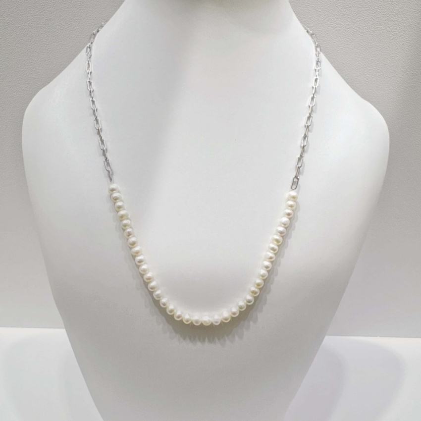 รหัสสินค้า: NFS0395