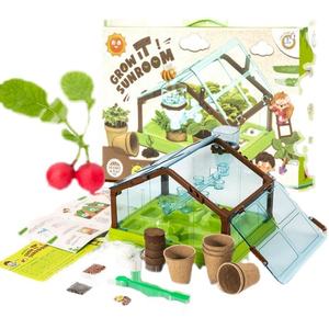 Kit de Bonsái Personalizado para Regalo de Año Nuevo, Casa de Sol para Niños, Kit de Iniciación para Cultivar Bonsáis en Interiores - Product Image 4
