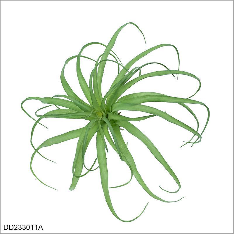 Green-1