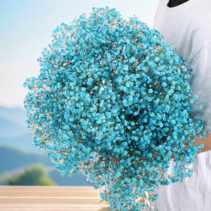 <span class=keywords><strong>Flores</strong></span> de Gypsophila <span class=keywords><strong>Preservadas</strong></span> <span class=keywords><strong>al</strong></span> <span class=keywords><strong>por</strong></span> <span class=keywords><strong>Mayor</strong></span>, Secas, Colores Personalizados, para Graduación, Bodas, San Valentín, Navidad - Product Image 4