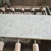 Dalle de granit blanc royal - Granit blanc naturel avec des veines grises pour plan de travail de cuisine, revêtement de sol, revêtement mural