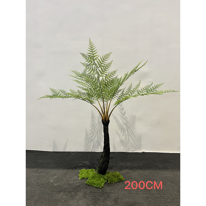 Helecho de árbol - 200cm