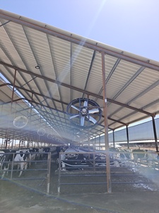 Hot Selling Poultry Suction Fan Solar Powered Poultry Farm Ventilation Fans Wall-Mounted Dairy Farm Cooling Fan - Product Image 5