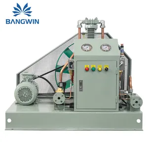 Bangwin 200 Bar 5-60Nm3/H Usine de surpression d'oxygène médical à haute pression utilisée pour le système de remplissage de bouteilles