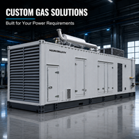 Groupe électrogène au biogaz haute puissance 1200 kW 1500 kVA haute efficacité, type conteneur