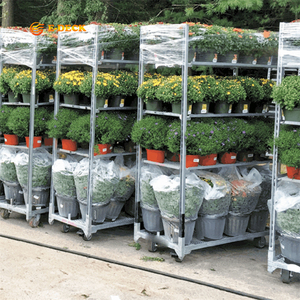 Hot Bán Vườn Ươm Kim Loại Nhà Kính Thép Giao Thông Vận Tải Hà Lan Nhà Máy Xe Đẩy Hoa Vận Chuyển Giá - Product Image 5