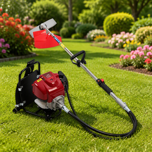 Backpack Brush Cutter Backpack Lawn Mower Backpack Drill Micro-Tiller - Product Image 2