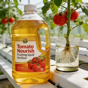 <span class=keywords><strong>Engrais</strong></span> nourrissant à haut rendement pour la fructification des tomates - Améliore la taille des fruits et la qualité du goût - Product Image 1