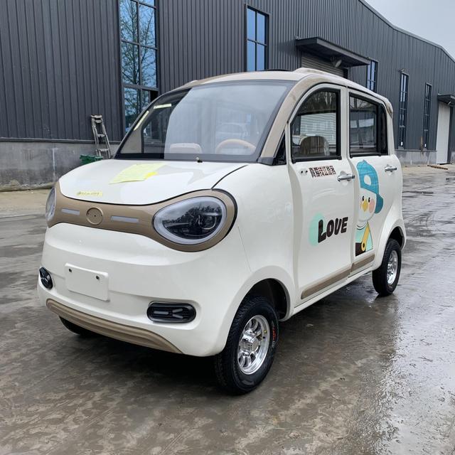Made in China Cheap Four Wheel Four Seat New Energy Electric Fully Enclosed Mini Cars for Adult