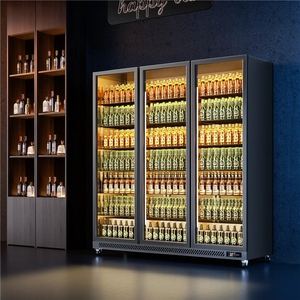 Meilleur vendeur Réfrigérateur-congélateur vertical à inversion de phase pour boissons et boissons rafraîchissantes, congélateur à <span class=keywords><strong>porte</strong></span> unique pour les magasins de proximité - Product Image 5