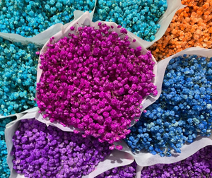 Vente flash - Bouquet de fleurs Gestasus préservées, personnalisable en couleur, très populaire et décoratif - Product Image 3