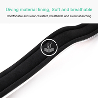 Conception personnalisée Collier de chien à lumière LED Rechargeable USB Sécurité nocturne Clignotant Lueur dans le noir Collier de chien à lumière