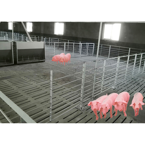 Cage et enclos d'engraissement pour porcs HENGYIN HY-fatten, en acier galvanisé à chaud, garantie 1 an, ensemble complet neuf, vente en gros - Product Image 4